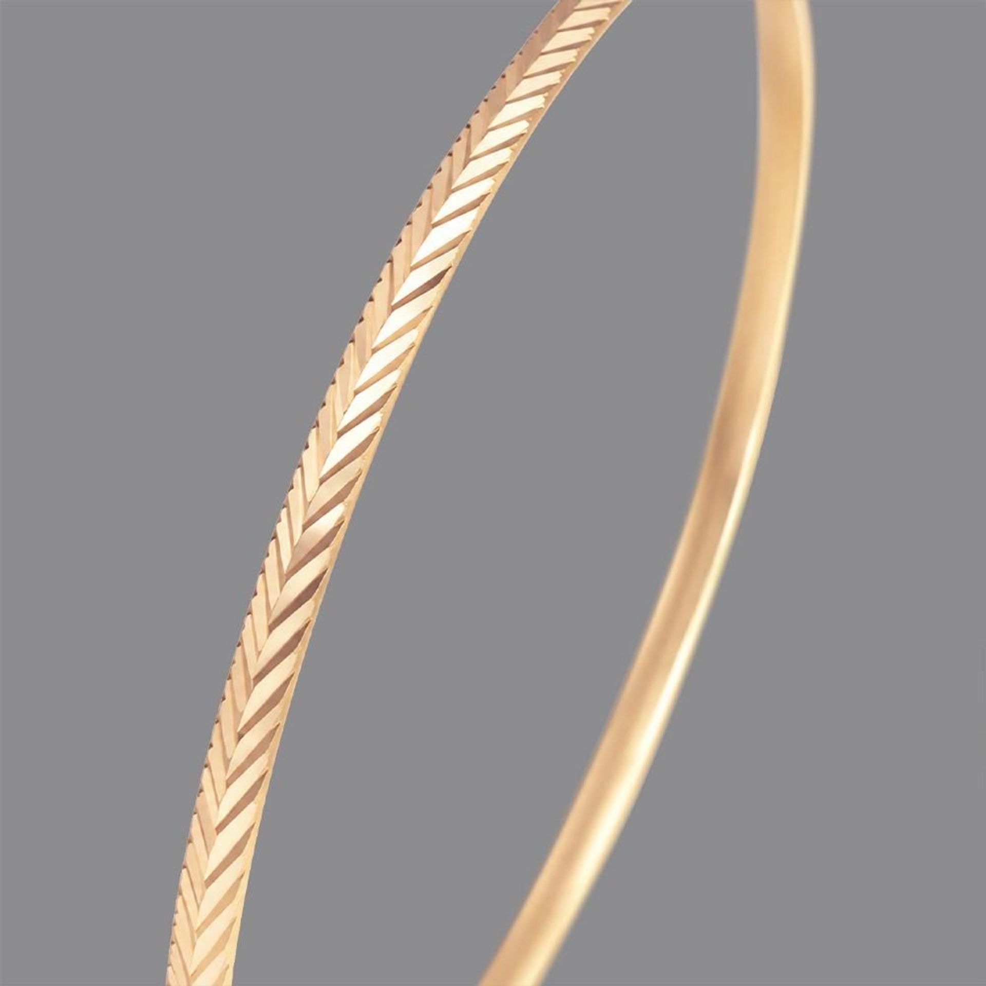 NadirGold 22 Ayar Balık Sırtı Bilezik 10 Gr - 2